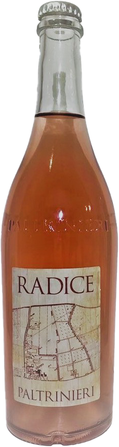 PALTRINIERI RADICE LAMBRUSCO DI SORBARA 750ML