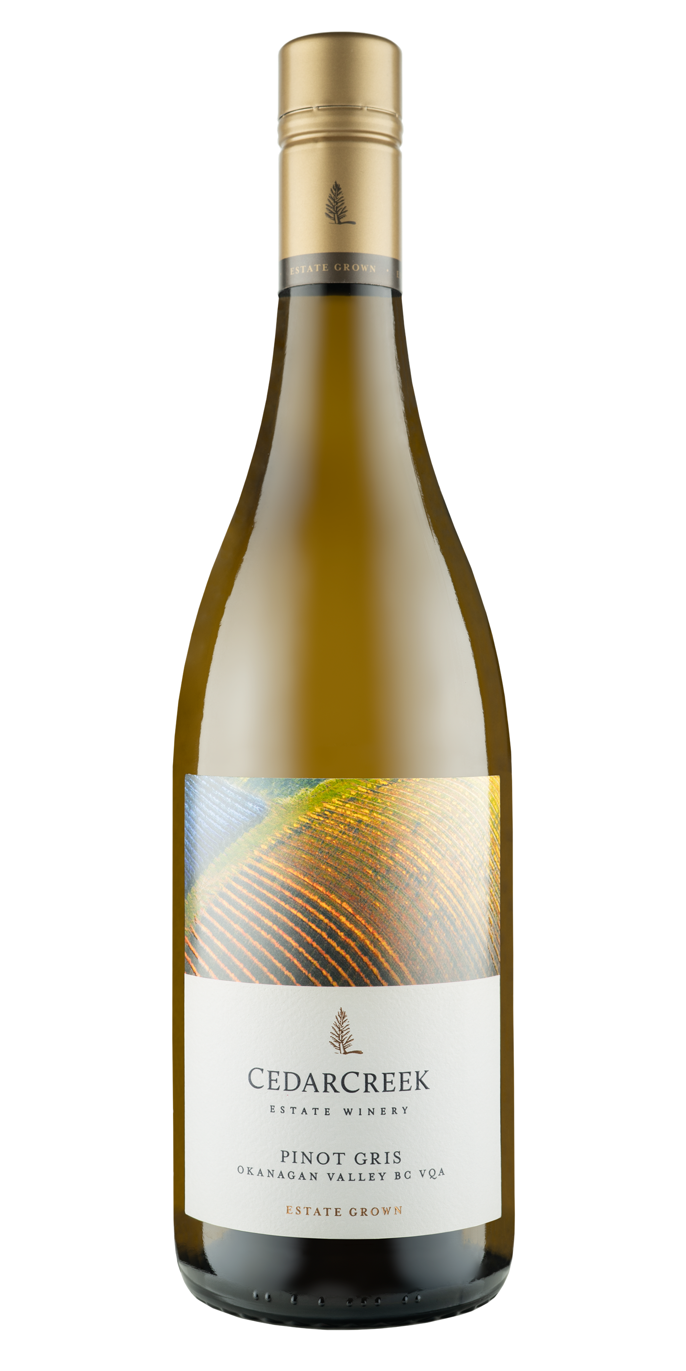 CEDARCREEK PINOT GRIS 750ML @ Kelowna [1000771]