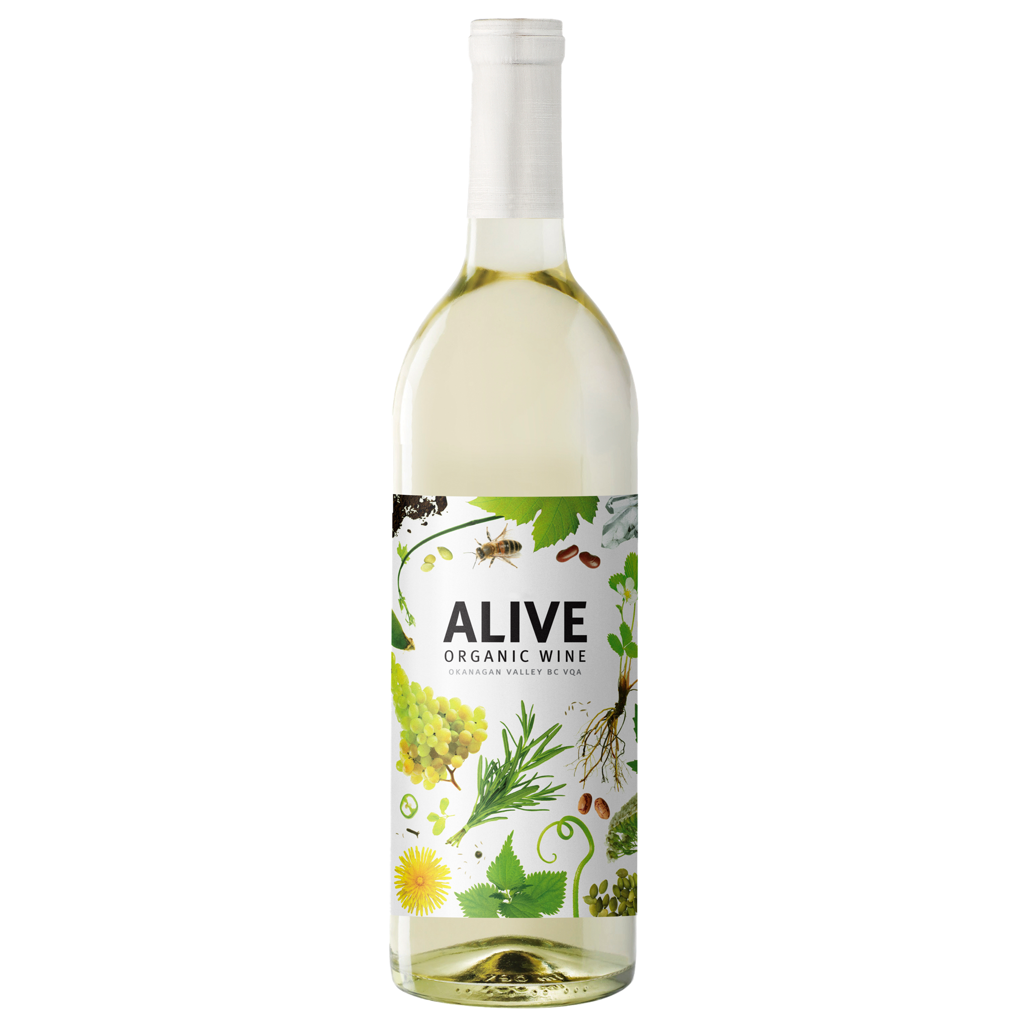 SUMMERHILL ALIVE ORGANIC WHITE 750ML @ Kelowna [1010809]