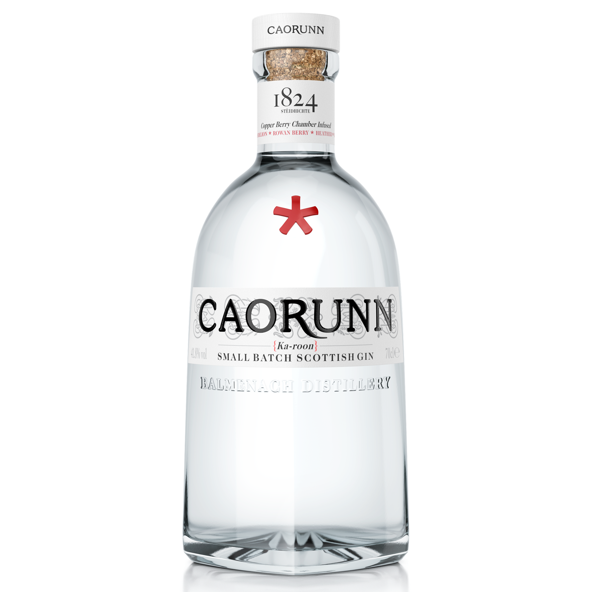 CAORUNN GIN 750ML @ Kelowna [1013088]